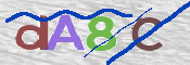 CAPTCHA-Bild