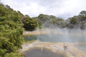 Dampfender See in Rotorua