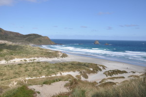 Sandfly Bay, Otago Peninsula