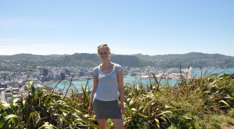 Blick auf Wellington vom Mount Victoria