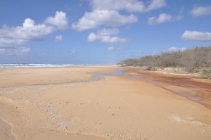 Strand = Straße auf Fraser Island