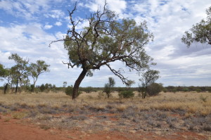 Outback Landschaft