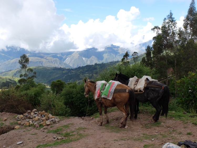 Start Salkantay Trek nach Machu Picchu